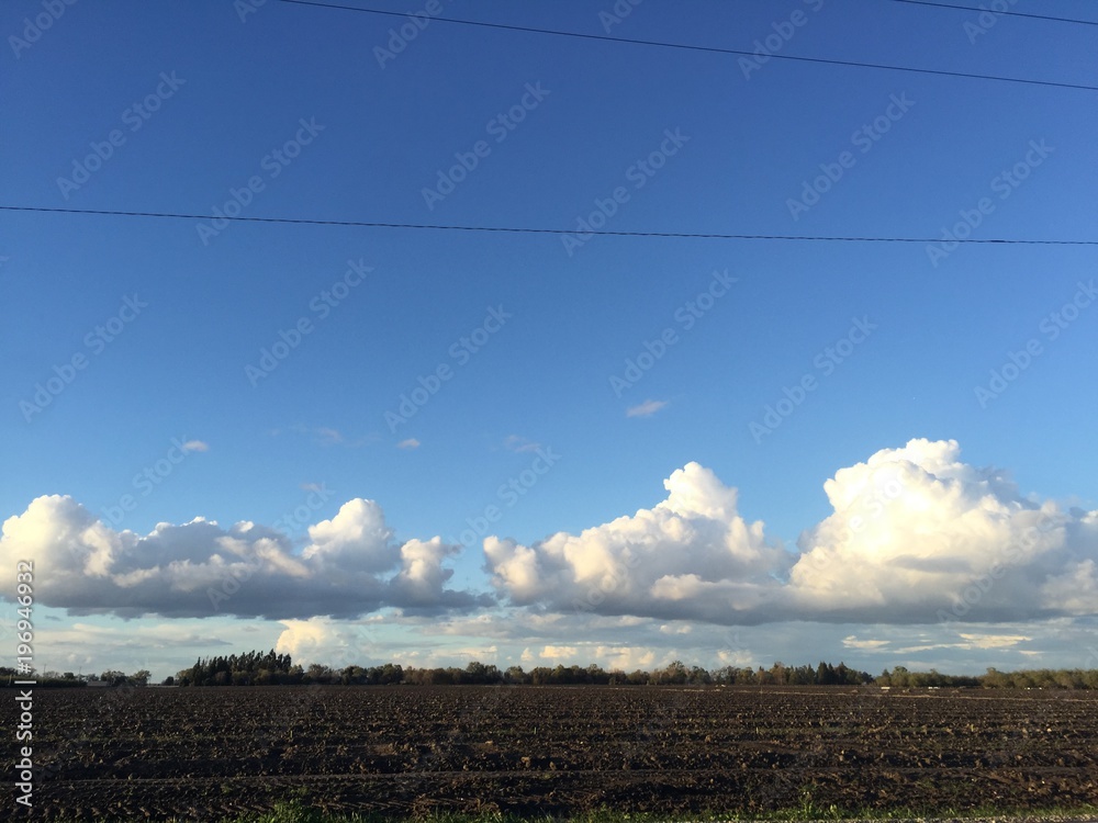 Flat bottom clouds Stock Photo Adobe Stock