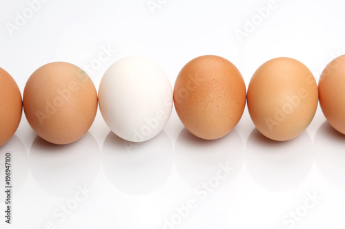 chicken eggs on white background.