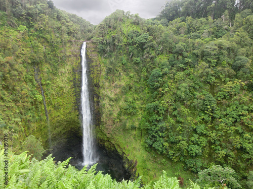 Akaka falls Hawaii big island waterfall