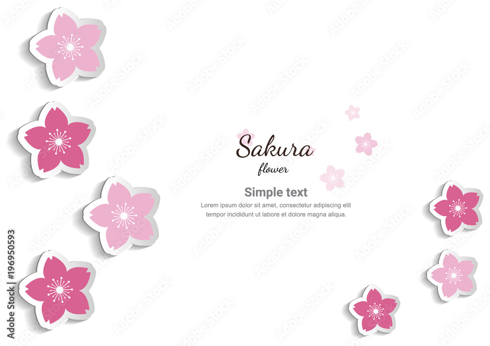 Cherry blossom,Sakura pink flowers background. Cherry blossom,Sakura pink flowers background.