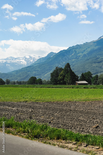 Landscape with green, agricultural field, trees and snow capped mountains in Switzerland on a sunny and warm June day with blue sky and clouds
