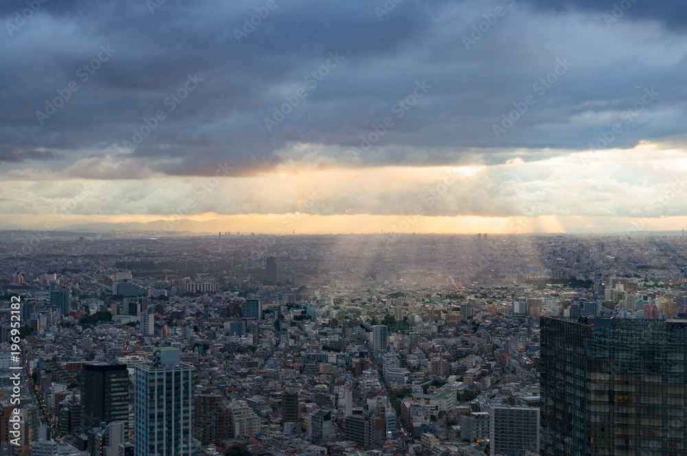 Fototapeta premium Aerial view of urban sprawl of Tokyo