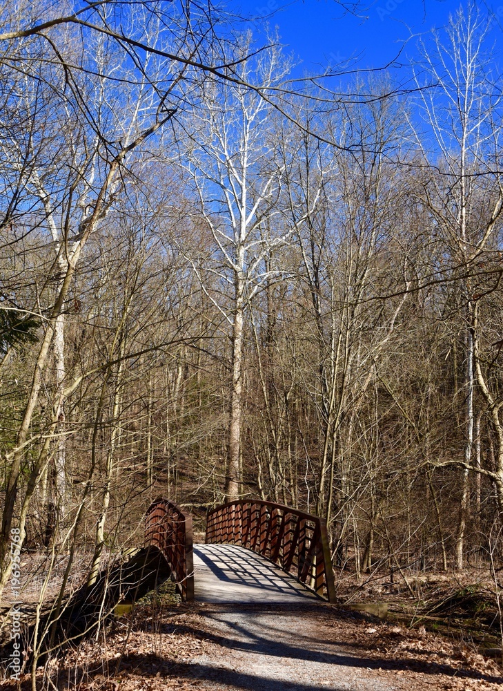Scenic bridge and majestic trees on a hiking trail in winter. Scenic bridge and majestic trees on a hiking trail in winter.