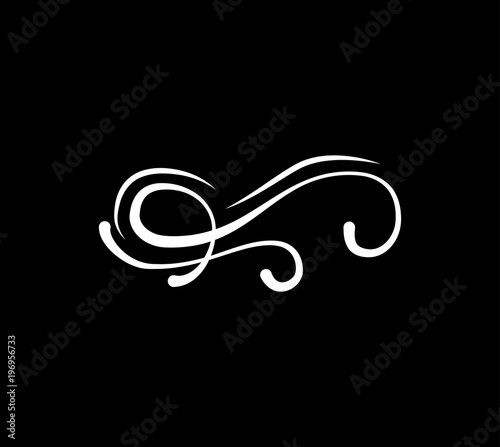 Calligraphy swirl element, swashe, ornate motif and scroll. Vector illustration.