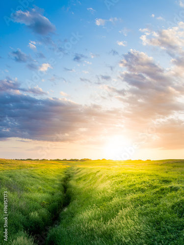 Fototapeta Naklejka Na Ścianę i Meble -  Path to Heaven