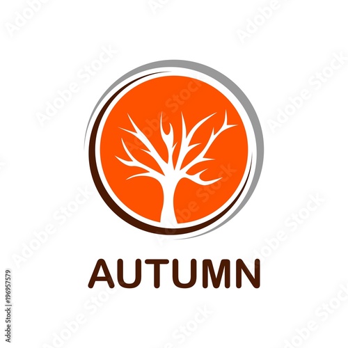 Fototapeta Naklejka Na Ścianę i Meble -  autumn tree. vector illustration. logo. icon