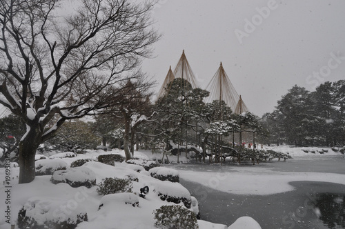 兼六園雪つり photo