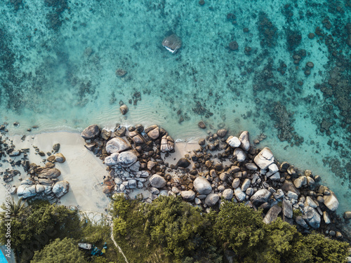 Trees  Rocks and Ocean