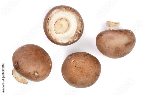 Fresh champignon mushrooms isolated on white background. Top view. Flat lay