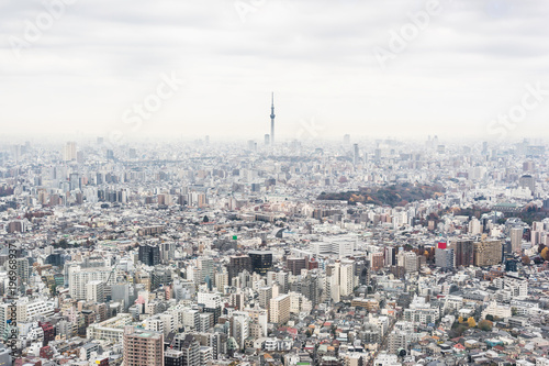 Asia business concept for real estate and corporate construction - panoramic modern city skyline aerial view of Ikebukuro  with grey sky in tokyo, Japan