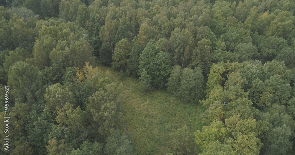 Aerial flying over summer forest on a cloudy day
