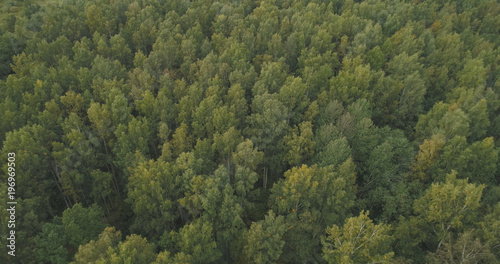 Aerial flying over summer forest on a cloudy day