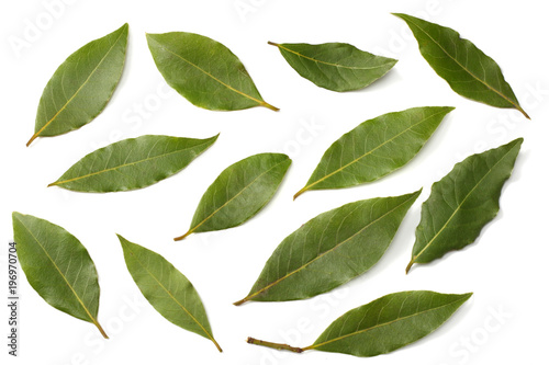 Laurel leaves isolated on a white background top view