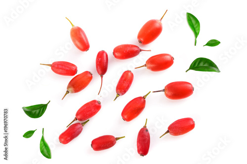 fresh barberry isolated on a white background. top view