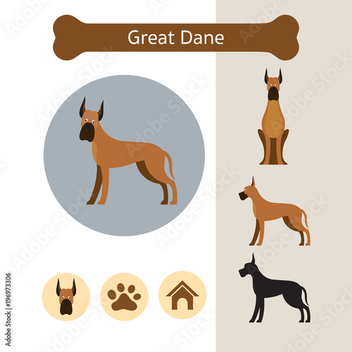 Great Dane Dog Breed Infographic,  Front and Side View, Icon
