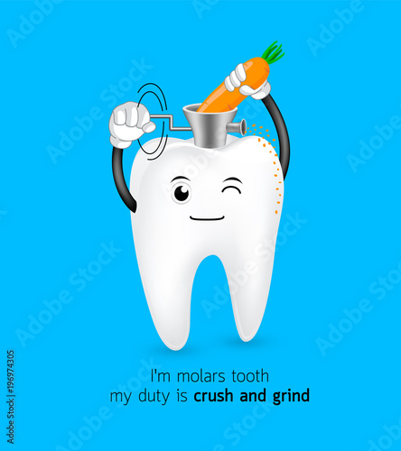 Cute cartoon molar tooth crush and grind carrot. Dental care concept. Illustration isolated on blue background.