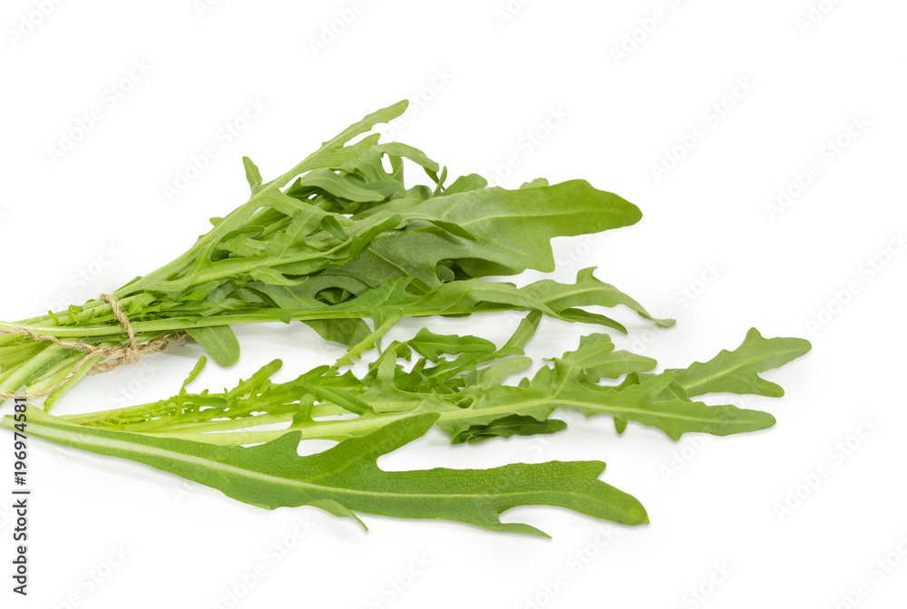 Leaves of the fresh arugula closeup on a white background Leaves of the fresh arugula closeup on a white background