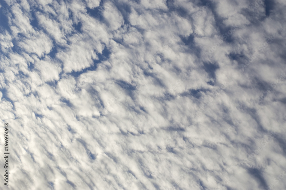 Fototapeta premium sky background with clouds. 