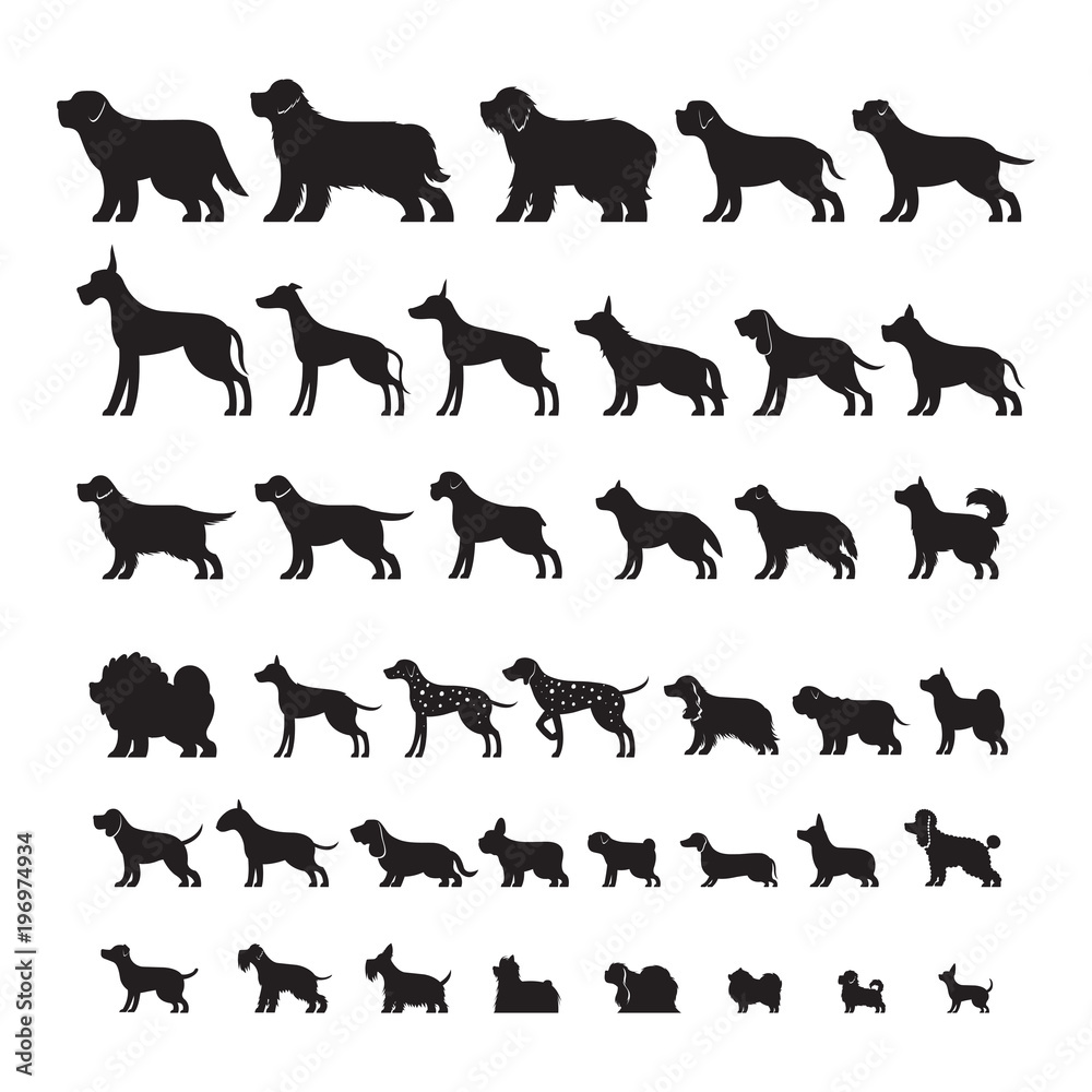 Dog Breeds, Silhouette Set, Side View, Vector Illustration