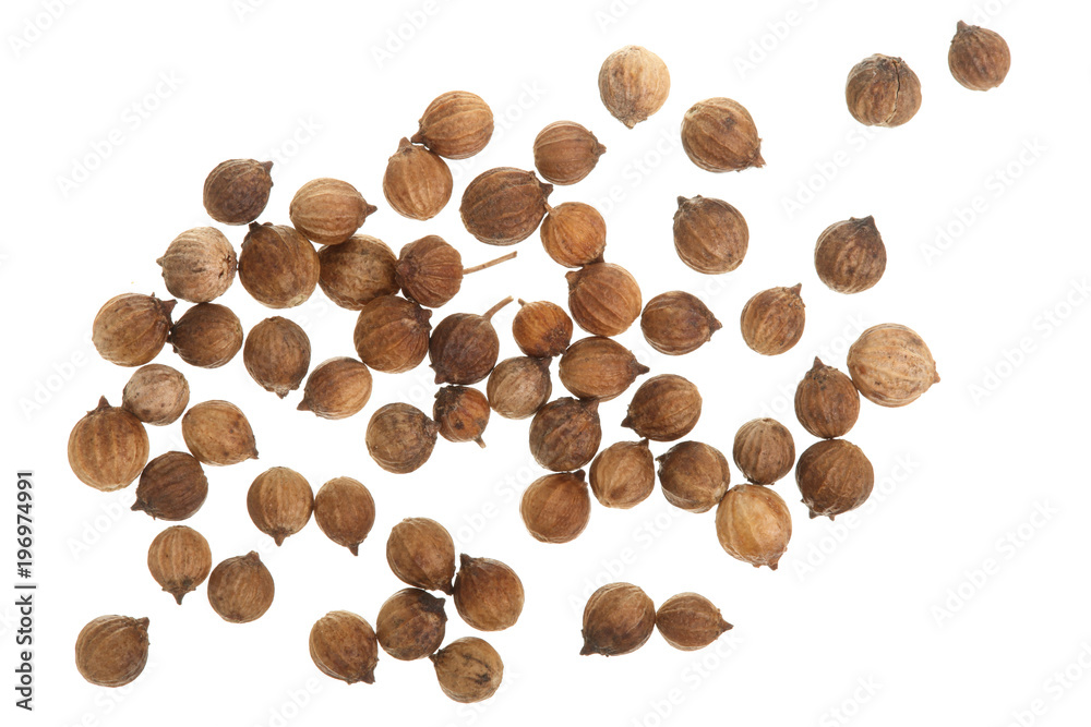 Coriander seeds isolated on white background top view Coriander seeds isolated on white background top view