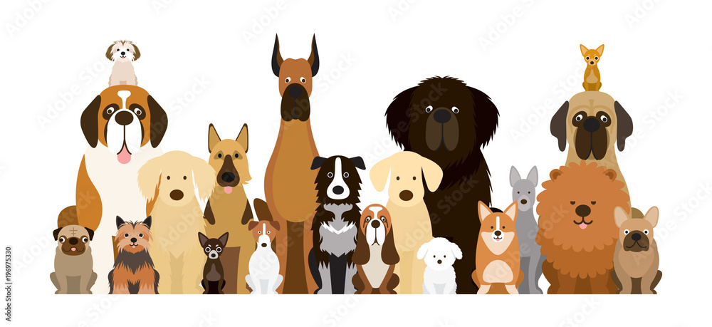 Fototapeta Grupa ilustracji ras psów, różne rozmiary, widok z przodu, zwierzak