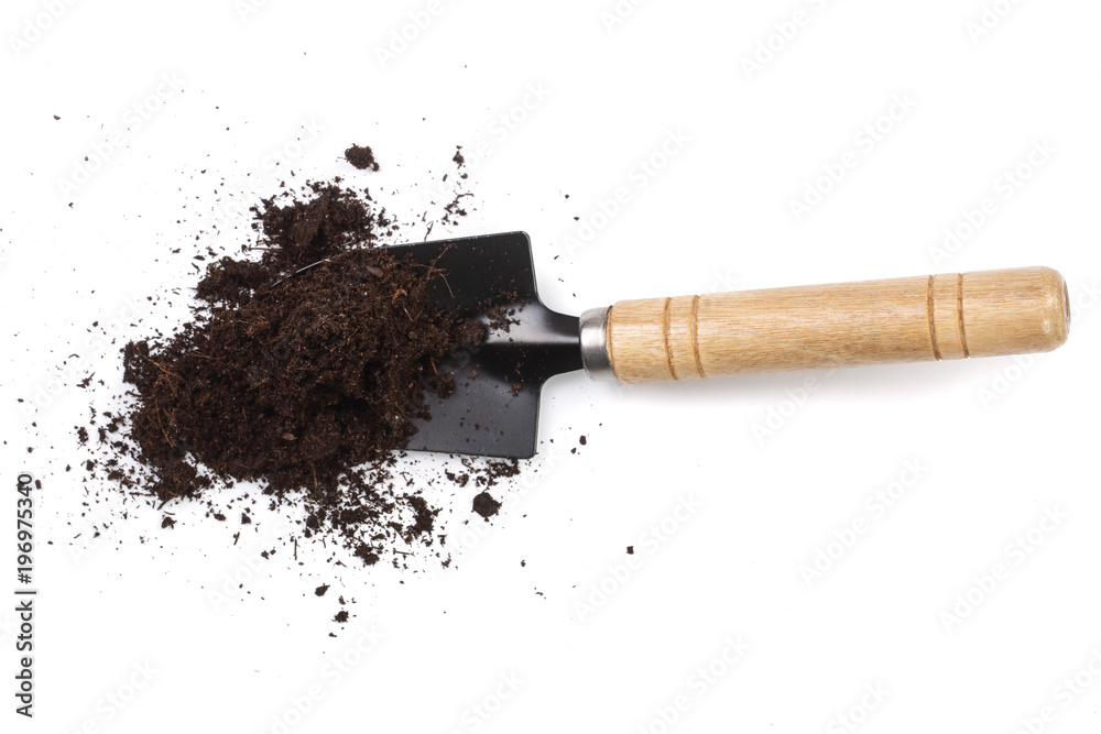 Obraz premium narzędzia ogrodnicze w glebie na białym tle