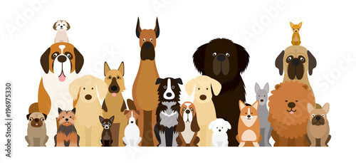 Group of Dog Breeds Illustration, Various Size, Front View, Pet