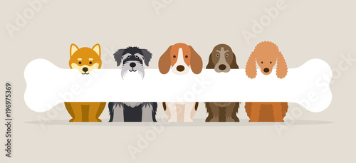 Group of Dog Breeds Holding Bone, Front View, Pet, Background, Banner 