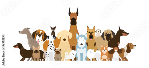 Group of Dog Breeds Illustration, Various Size, Front and Side View, Pet