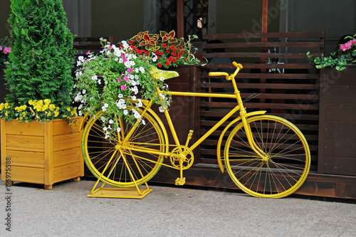 Yellow bicycle decorated with white and pink petunias near the cafe