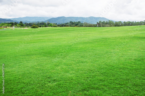 lawn with mountain background.
