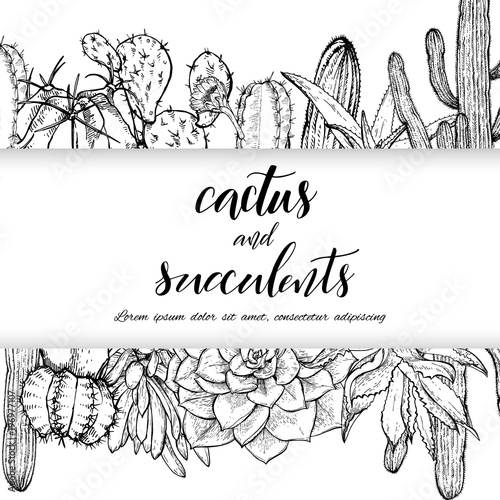 Sketch linear cactus ans succulents