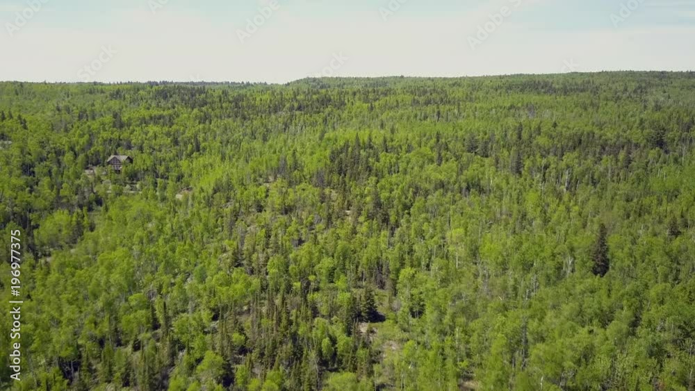 Amazing aerial drone shot flying backwards over a lush green forest spanning towards the horizon on a sunny day Amazing aerial drone shot flying backwards over a lush green forest spanning towards the horizon on a sunny day