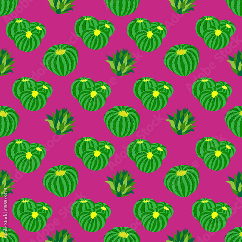 Cactus background, vector seamless pattern, isolated on purple backdrop.