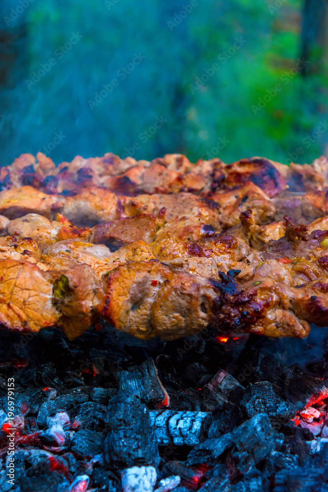 Photo of delicious pork barbecue fried on charcoal in the park Photo of delicious pork barbecue fried on charcoal in the park