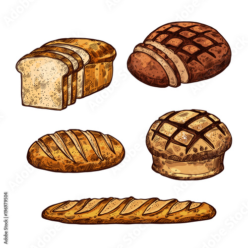 Vector sketch bread color icons of bakery shop