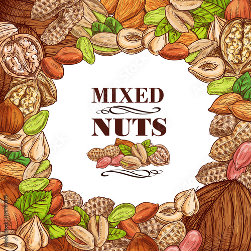 Vector poster of nuts and fruit seeds