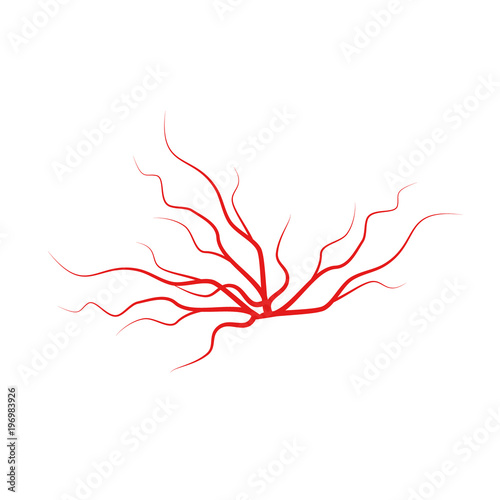 Veins icon set