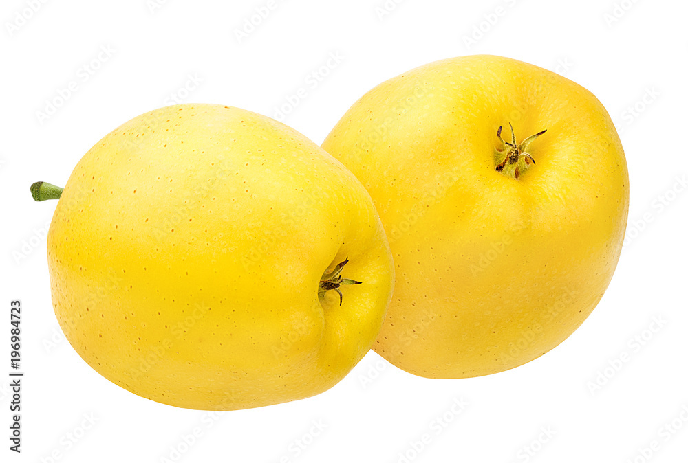 Fresh apple isolated on white background with clipping path Fresh apple isolated on white background with clipping path