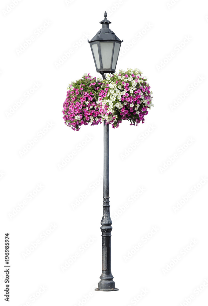 Lamppost with hanging flowers, isolated