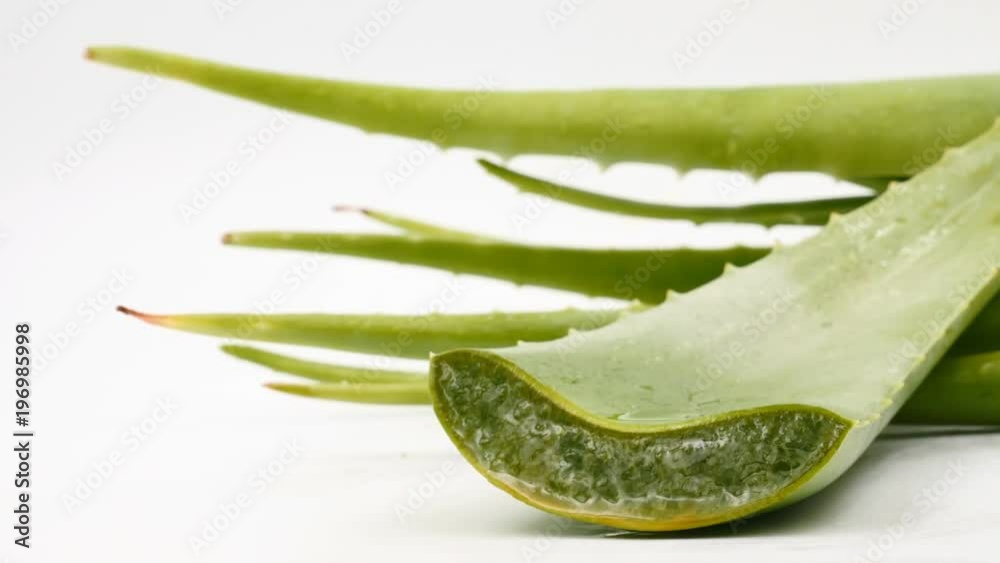 Aloe Vera leaves. Aloe Vera gel is very useful herbal medicine for skin care Aloe Vera leaves. Aloe Vera gel is very useful herbal medicine for skin care