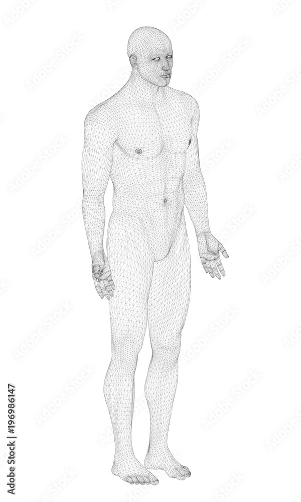 Male model in 3D