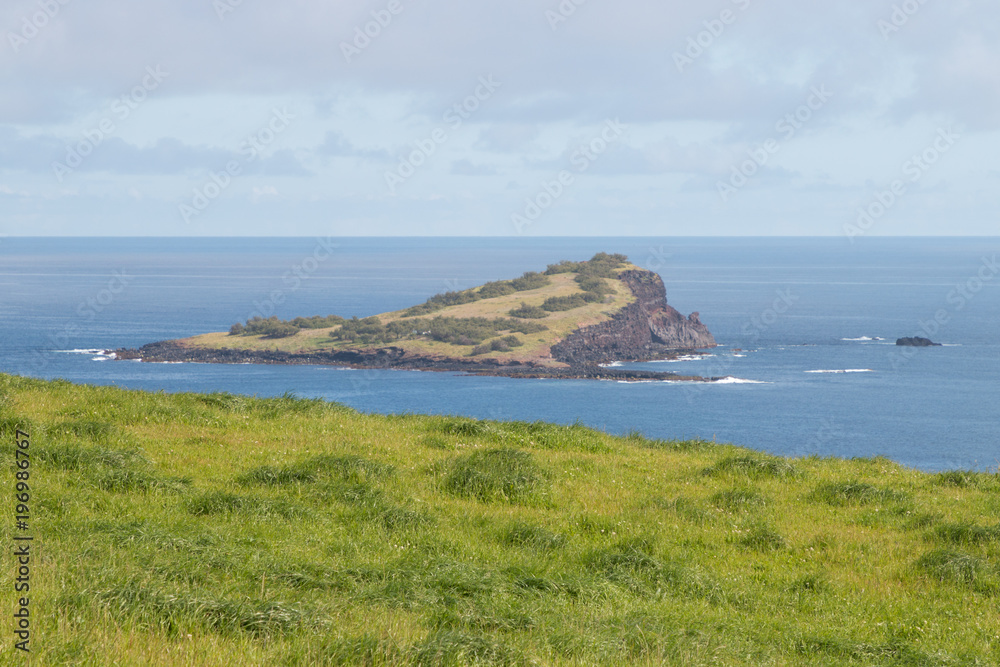 grüne kleine Insel auf den Azoren