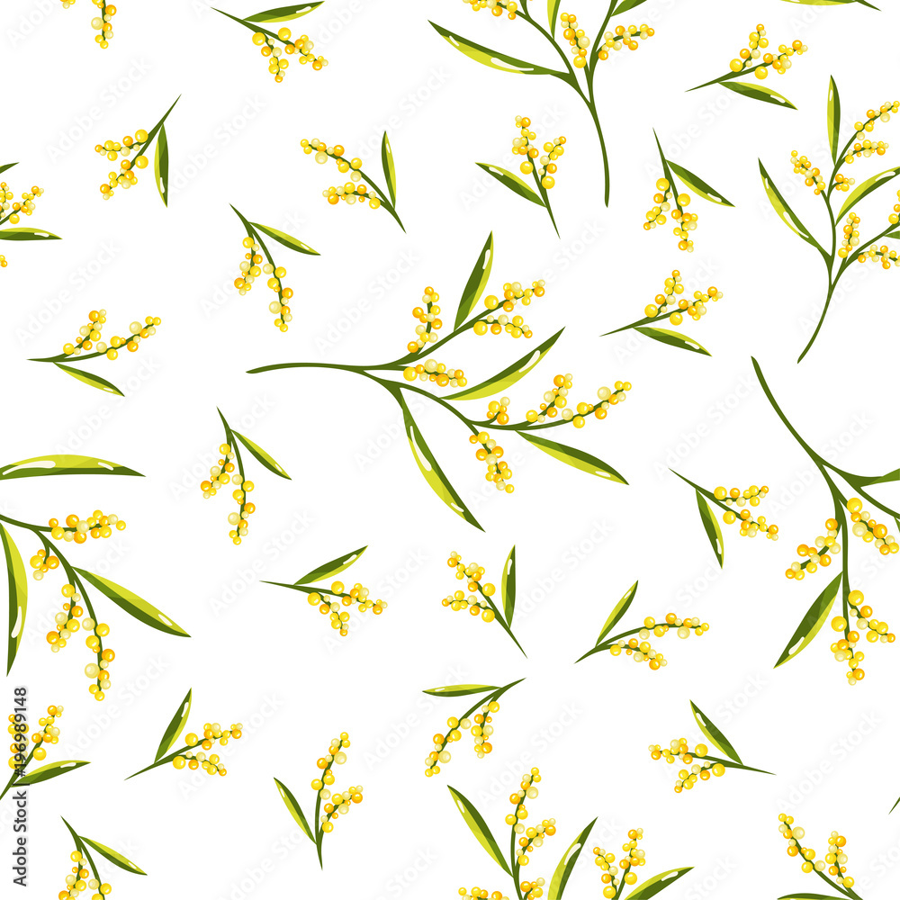 Fototapeta premium Seamless Pattern with Mimosa Flower