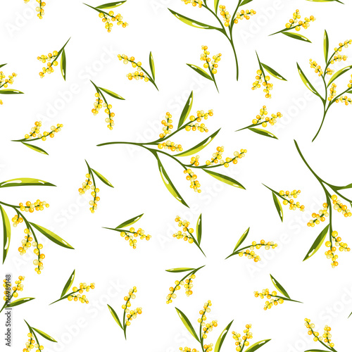 Seamless Pattern with Mimosa Flower