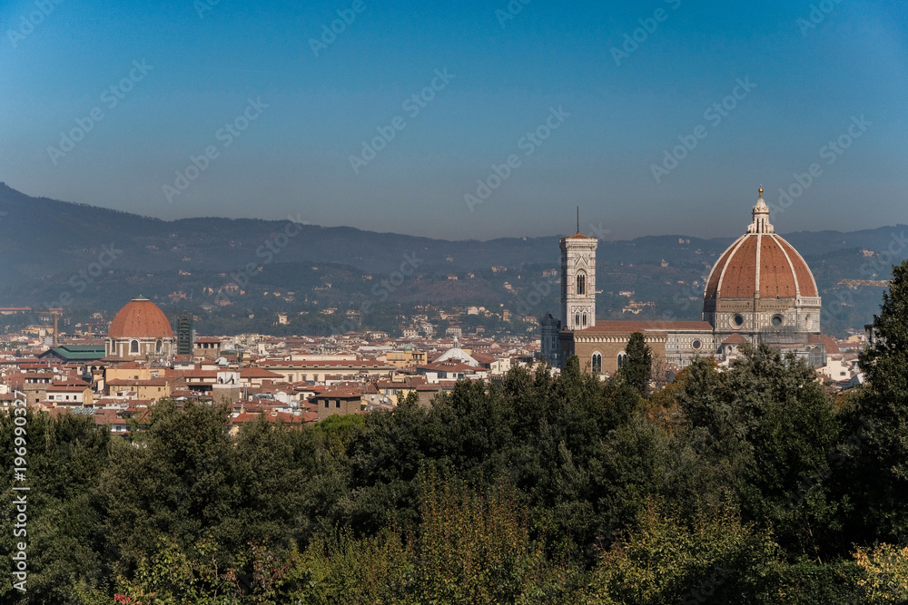 View of Santa Maria del Fiore from Boboli Gardens, Florence, Italy