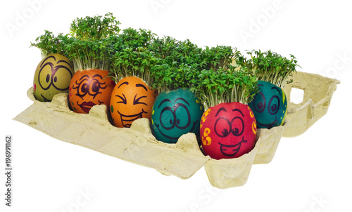 Easter egg painted in a funny smiley  face and colorful patterns with cress like hair in a cardboard container for eggs.