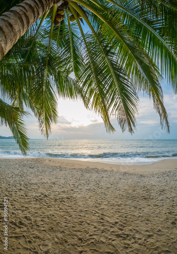 Exotic scene of Caribbean Island.