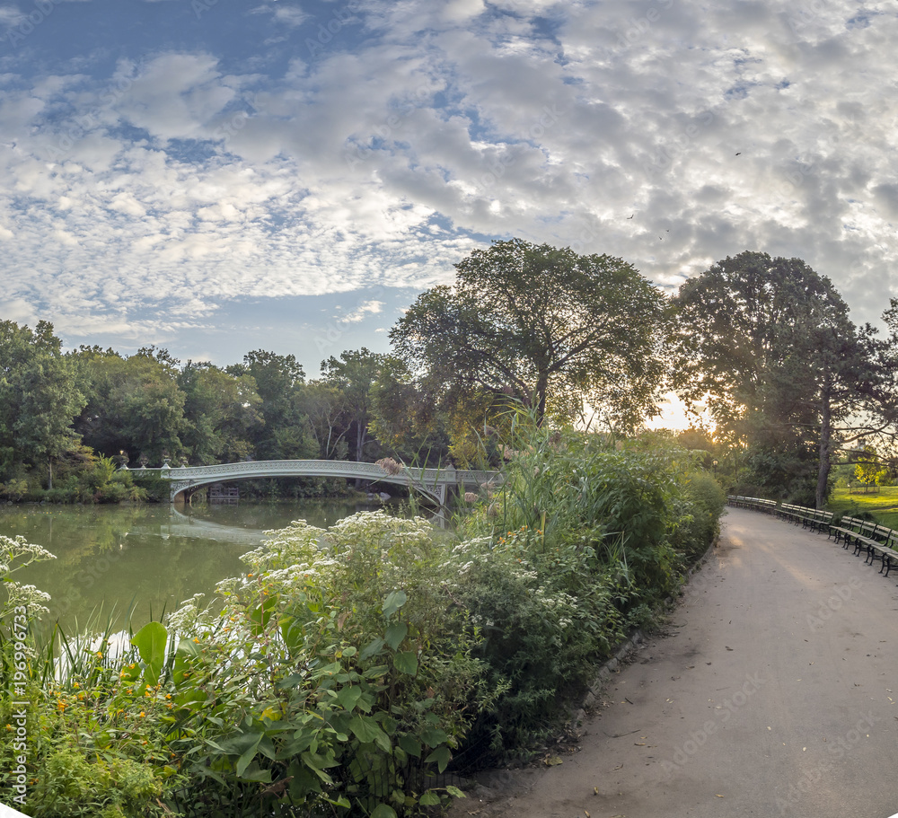 Bow bridge Central Park