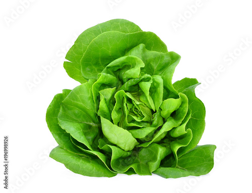 Konstfotografi green butter lettuce vegetable or salad isolated on white back ground